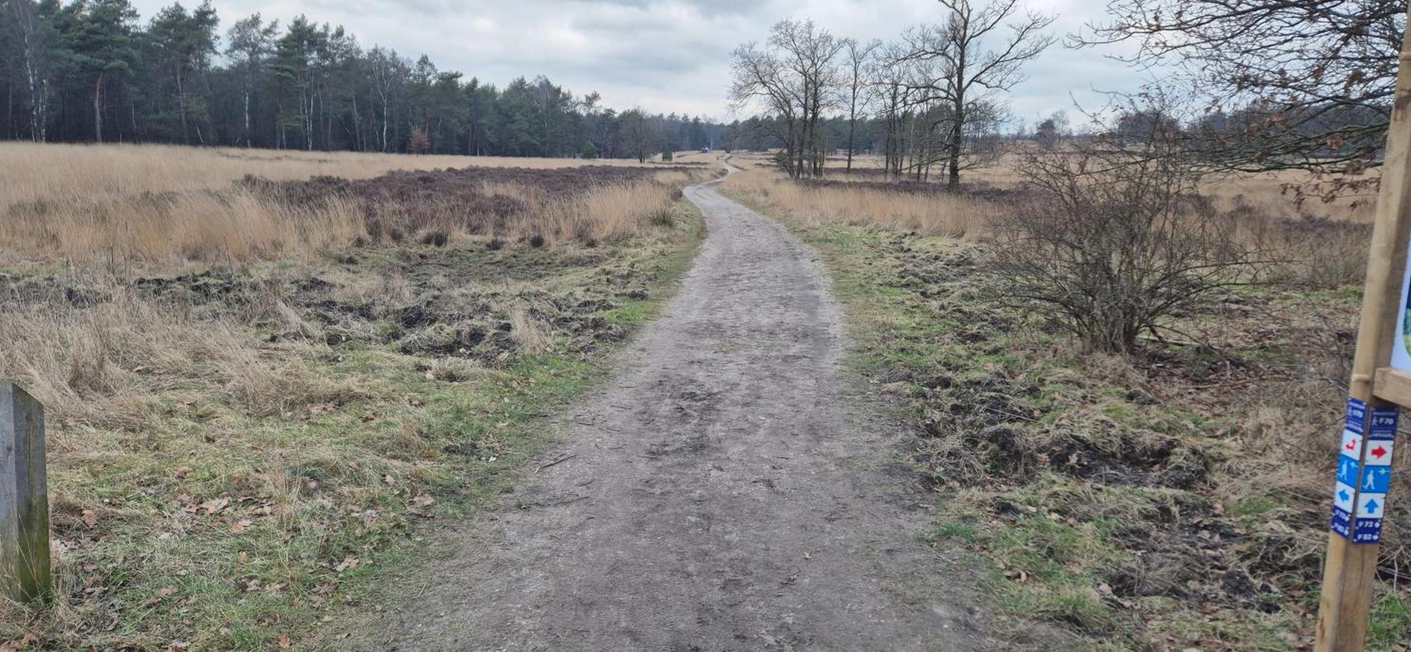 Het Veluwse Boshuisje Knus Chalet Met Omheinde Tuin Op De Veluwe Hoenderloo Zewnętrze zdjęcie