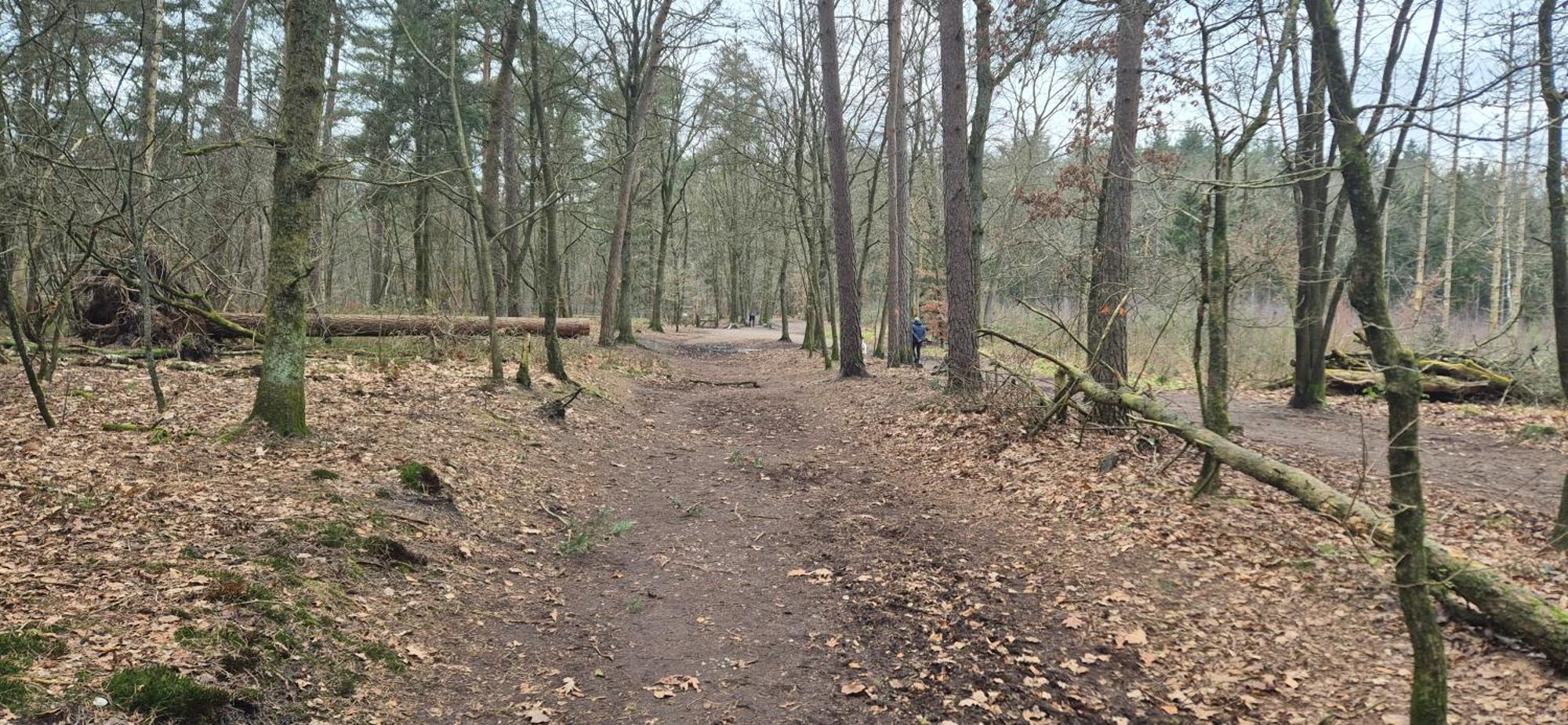 Het Veluwse Boshuisje Knus Chalet Met Omheinde Tuin Op De Veluwe Hoenderloo Zewnętrze zdjęcie