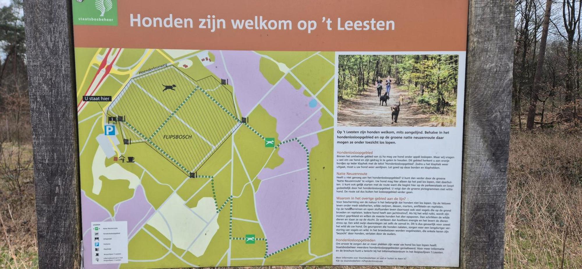 Het Veluwse Boshuisje Knus Chalet Met Omheinde Tuin Op De Veluwe Hoenderloo Zewnętrze zdjęcie